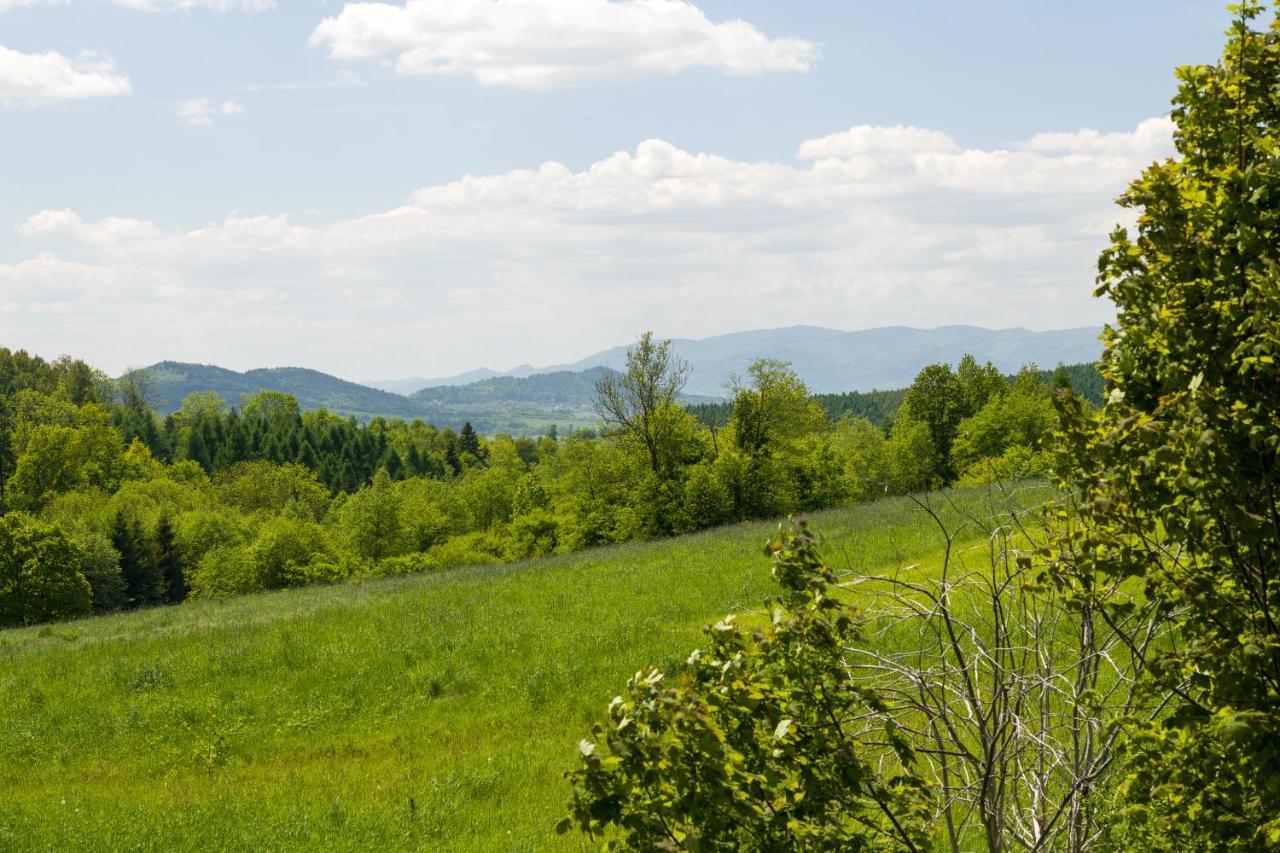 Andrzejowka Villa Kocon Luaran gambar